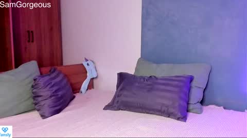 Snapshot of samgorgeous chatting on 01-12-25, 11:50 Fansly - Top4fans online show from 01-12-25, 11:50