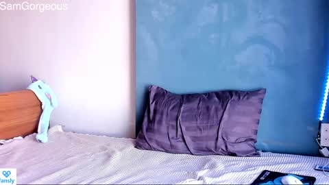 Snapshot of samgorgeous chatting on 01-30-25, 09:15 Fansly - Top4fans online show from 01-30-25, 09:15