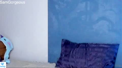Snapshot of samgorgeous chatting on 01-30-25, 03:29 Fansly - Top4fans online show from 01-30-25, 03:29