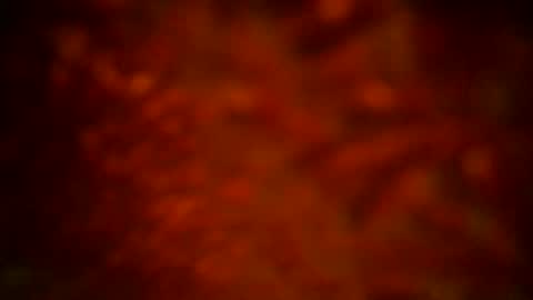 Snapshot of samueltal chatting on 09-16-25, 12:11 samueltal online show from 09-16-25, 12:11