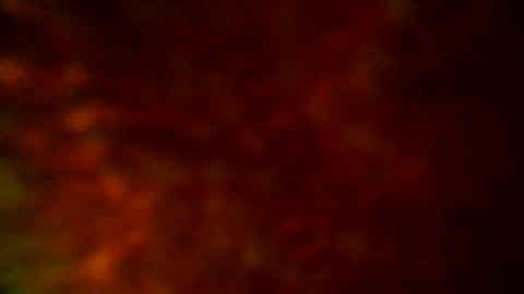 Snapshot of samueltal chatting on 09-19-25, 09:48 samueltal online show from 09-19-25, 09:48