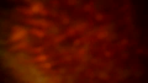 Snapshot of samueltal chatting on 09-22-25, 09:50 samueltal online show from 09-22-25, 09:50