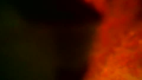 Snapshot of samueltal chatting on 10-14-25, 09:15 samueltal online show from 10-14-25, 09:15