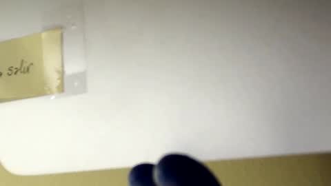 sanbig69 online show from 12-06-24, 05:11