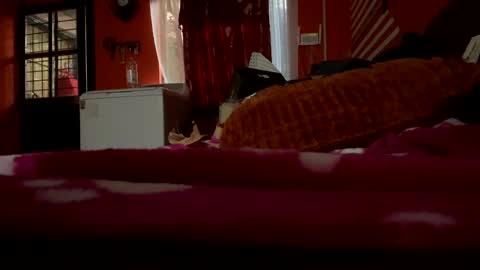 sans_976802 online show from 02-21-25, 12:05