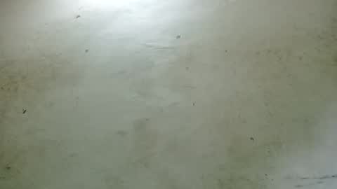 santichai561323 online show from 02-24-25, 02:51