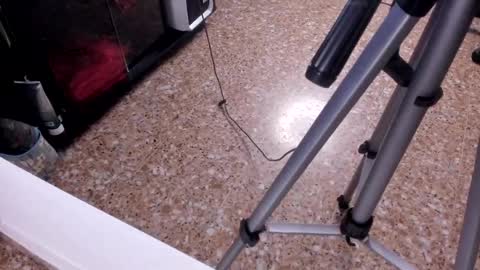 sara_salgado online show from 02-23-26, 11:07