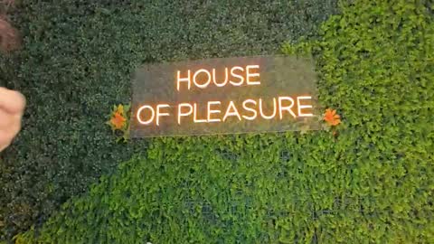 Sarah Bonneth online show from 03-14-26, 11:59