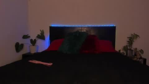 Girl next door online show from 01-19-25, 11:53