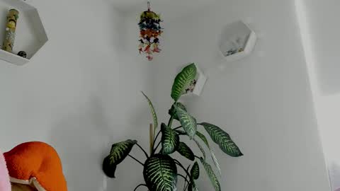 Saray  online show from 02-02-26, 09:24