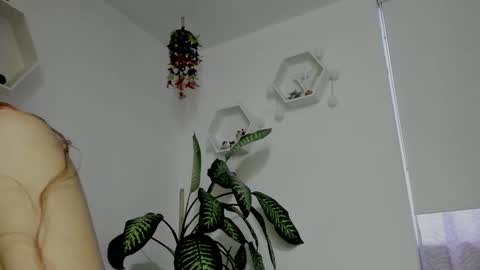 Saray  online show from 02-05-26, 11:20