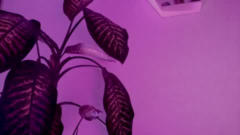 Saray  online show from 03-24-26, 04:17