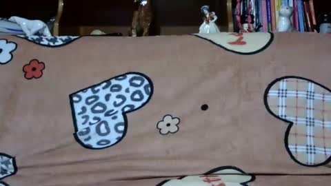 Sarra online show from 12-02-24, 05:26