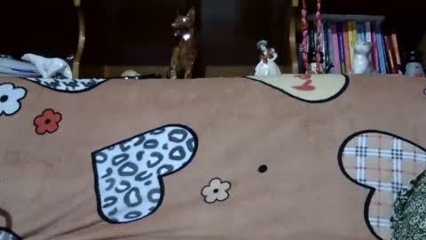 Sarra online show from 12-07-24, 08:27