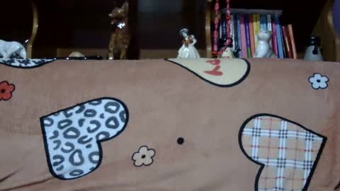 Sarra online show from 01-21-25, 02:37