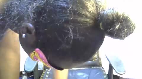 Snapshot of sasha_sexy769 chatting on 11-15-25, 07:10 sasha_sexy769 online show from 11-15-25, 07:10