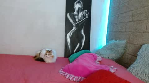 Snapshot of sativa_29 chatting on 12-13-24, 04:05 Sativa online show from 12-13-24, 04:05