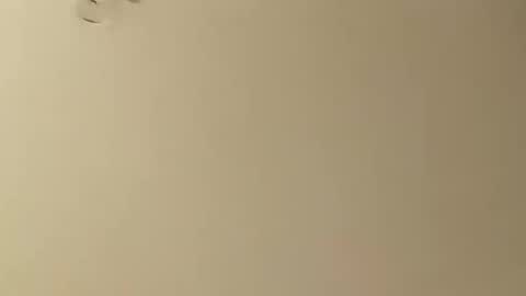 SnowBunny online show from 01-26-25, 05:13