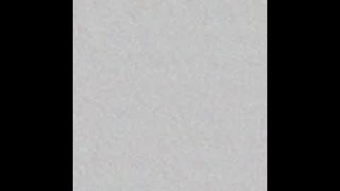 Venus online show from 12-08-24, 02:41