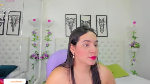 Snapshot of scarlet_stan22 chatting on 12-14-24, 11:07 Isa online show from 12-14-24, 11:07