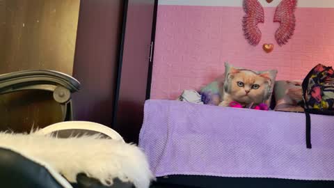 scarlett_099 online show from 09-19-25, 11:55