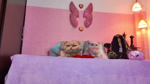 scarlett_099 online show from 09-20-25, 12:06