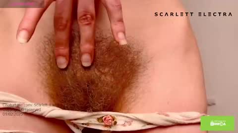 Snapshot of scarlett_electra chatting on 02-01-25, 06:29 SCARLETT ELECTRA - online show from 02-01-25, 06:29