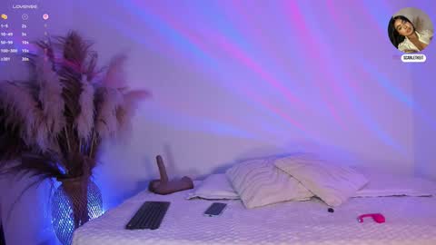 scarlet  online show from 02-10-26, 11:03