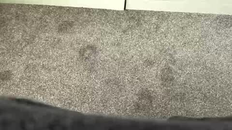 scottyc48 online show from 03-21-26, 11:59