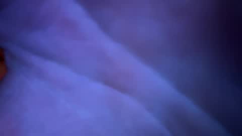 scottyn69 online show from 01-22-25, 01:31