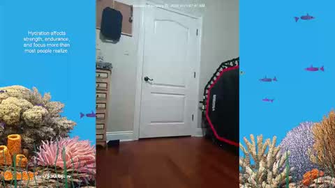 ScrubbyLuv online show from 02-26-26, 07:07