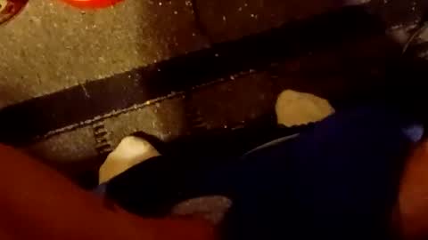 Snapshot of scruples99273286 chatting on 10-05-25, 08:34 scruples99273286 online show from 10-05-25, 08:34