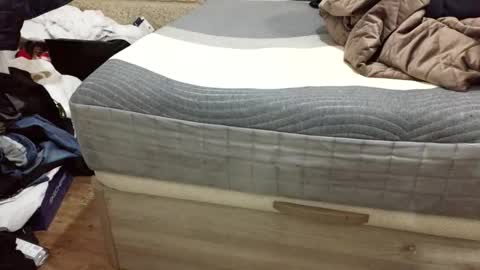 scubi007 online show from 11-02-25, 10:12