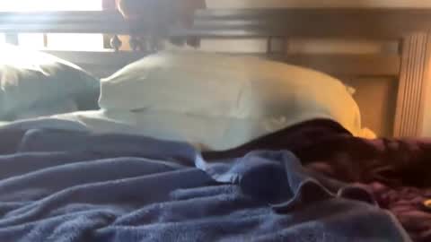 Skylar87 online show from 12-15-24, 06:26