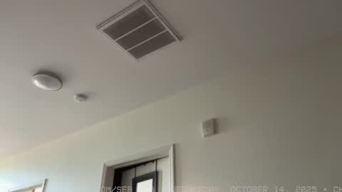 Snapshot of seb_tv chatting on 10-15-25, 06:08 Sebastian online show from 10-15-25, 06:08