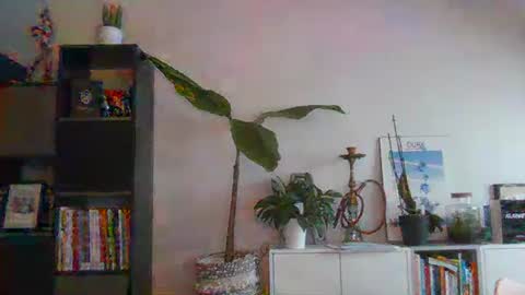 Snapshot of sebix9206 chatting on 02-13-25, 08:27 sebix9206 online show from 02-13-25, 08:27