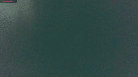 Sunny online show from 12-14-24, 08:56