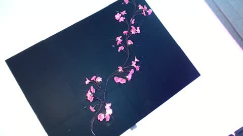 cath online show from 11-28-25, 05:43