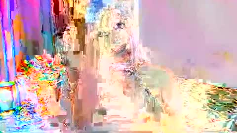 Snapshot of selenashemale chatting on 09-24-25, 01:31 Selena online show from 09-24-25, 01:31