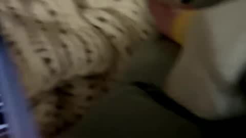 senecathestoic25 online show from 02-09-26, 03:54