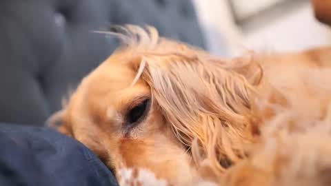 Snapshot of senssual_goddess chatting on 10-07-25, 04:37 senssual_goddess online show from 10-07-25, 04:37