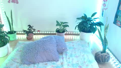 samy online show from 04-10-26, 02:06