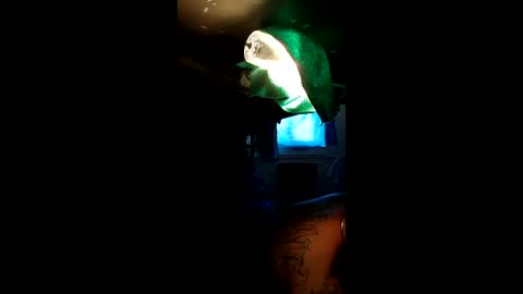 sextyplayboy online show from 04-04-26, 07:44