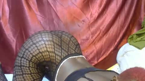 triza online show from 09-21-25, 06:15