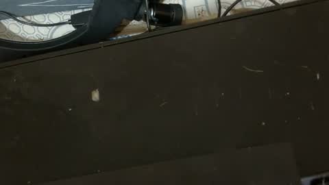 sexy_candy9 online show from 02-11-26, 08:52