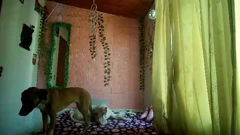 sexy lolas online show from 07-17-26, 08:46