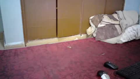 sexy_lunah online show from 12-19-24, 02:57