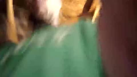 Snapshot of sexy_richy chatting on 04-12-26, 11:26 RICHY online show from 04-12-26, 11:26
