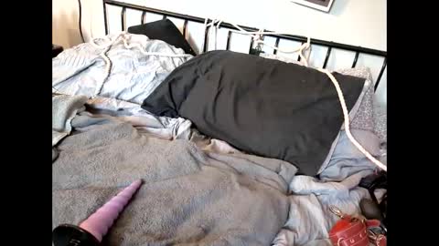 Kali  Brent online show from 04-19-26, 06:10