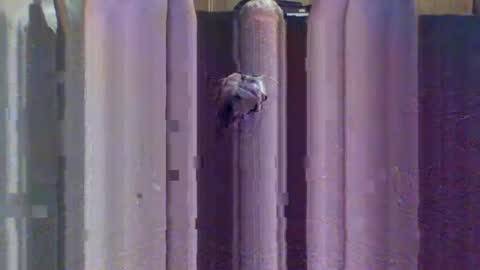 Snapshot of sexybeast_2 chatting on 09-09-25, 11:43 sexybeast_2 online show from 09-09-25, 11:43